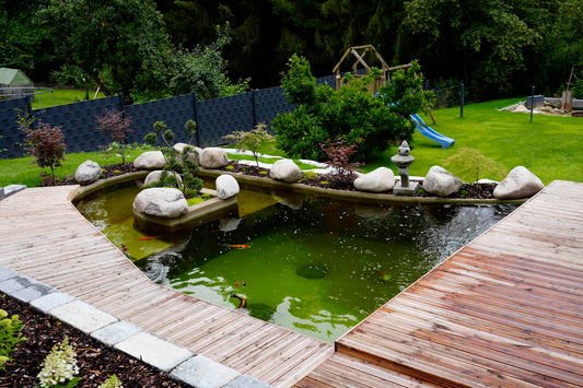 Koiteich einfahren – was in den ersten Monaten wirklich wichtig ist