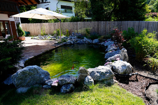 Totzonen im Koiteich erkennen und vermeiden